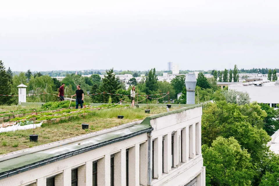 Climate action shouldn't mean choosing between personal and political responsibility